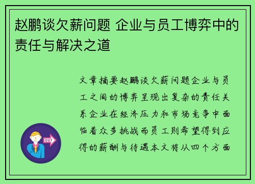 赵鹏谈欠薪问题 企业与员工博弈中的责任与解决之道