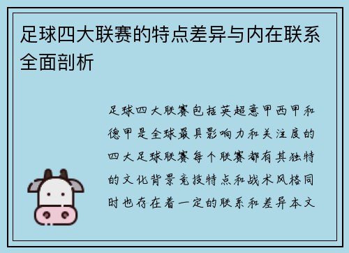 足球四大联赛的特点差异与内在联系全面剖析